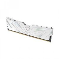MEMORIA NETAC SHADOW II DDR5 4800 16GB C40 WHITE