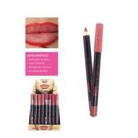 CAJA X48 Lip Liner Sexy Delineador Larga Duracion Pink 21