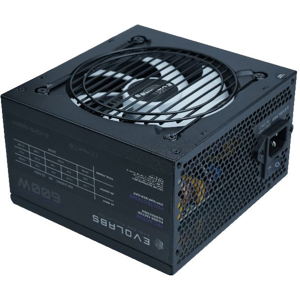 Fuente Evolabs 600W PFC Activo cables flat