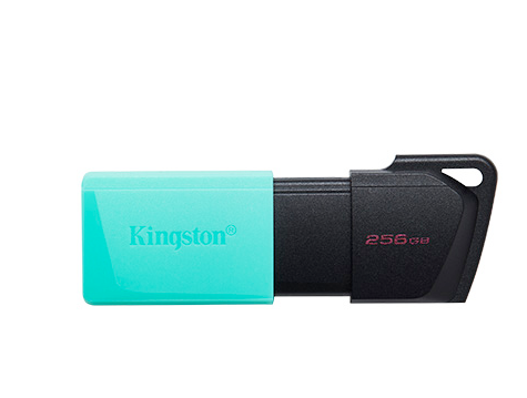 Pendrive 256GB KINGSTON 256GB 3.2 PEN DRIVE USB 256GB