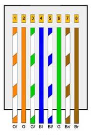 Cable de red 2 metros Skyway