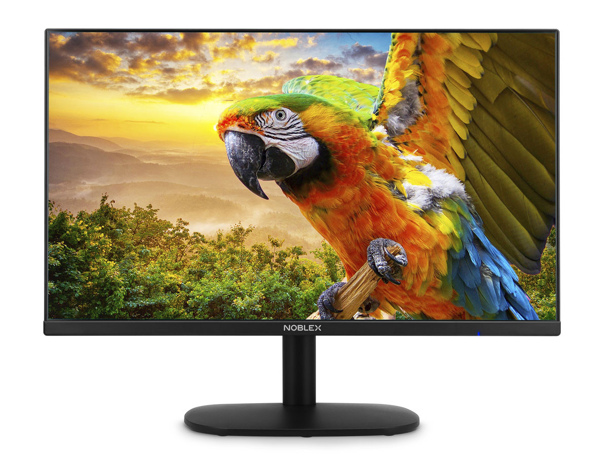 Monitor 24 pulgadas Noblex MK24X7100 Full HD HDMI 75 Hz VA 1 ms sin bordes