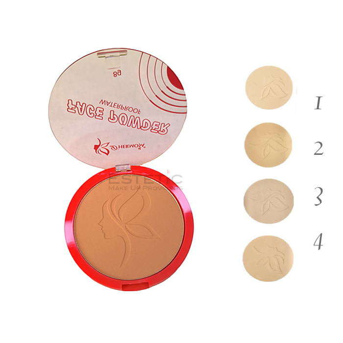 Polvo Compacto HD Waterproof DHermosa Pro