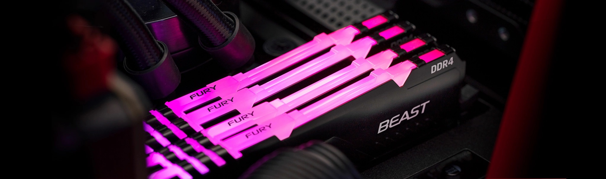 Memoria Kingston Ddr4 8gb (1x8) Fury Beast Rgb 3600mhz