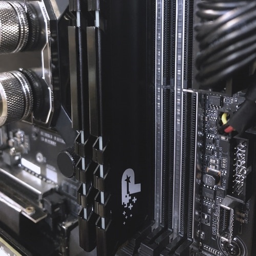 Memoria Ram Patriot 8gb Ddr4 2666mhz Signature Line Premium